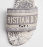 Dior Dway slide Gray