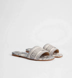 Dior Dway slide Gray